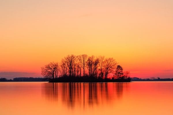 silhouette of trees near body of water during sunset