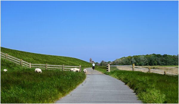 Open Monumentendag & Fietsroute