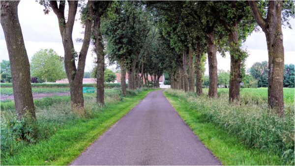 Kerkdienst
