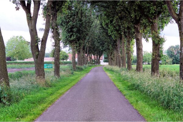 Kerkdienst